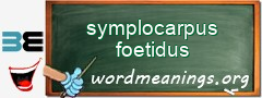 WordMeaning blackboard for symplocarpus foetidus